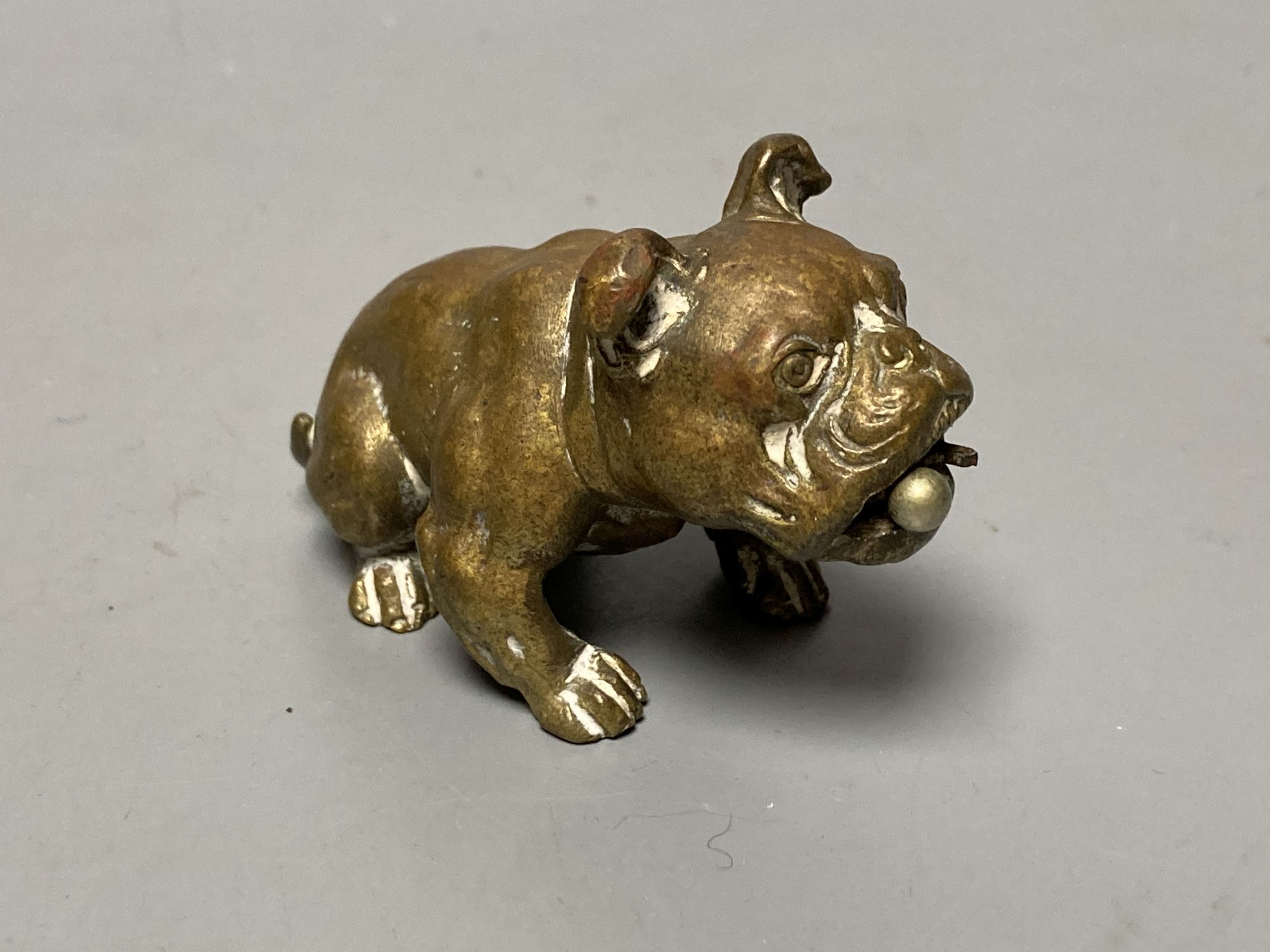 An Austrian bronze bulldog cigar cutter, width 7cm, its mouth concealing the cutter